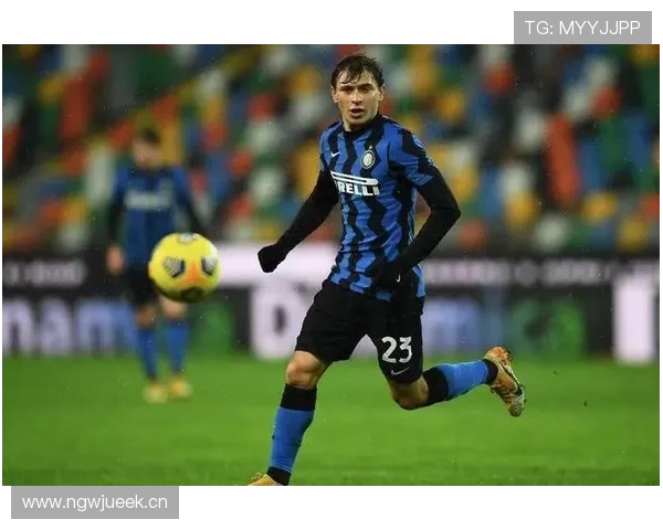 国米阵容老化风险显现,对球队长期竞争力与稳定性带来考验 国米阵容老化风险显现,对球队长期竞争力与稳定性带来考验