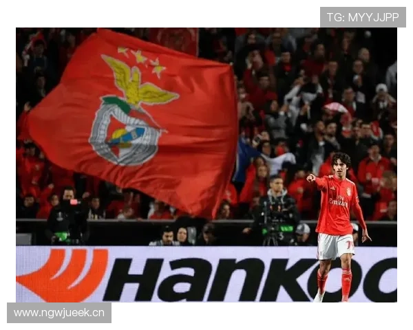 努涅斯本菲卡时期数据含金量几何 赛场真实贡献拆解